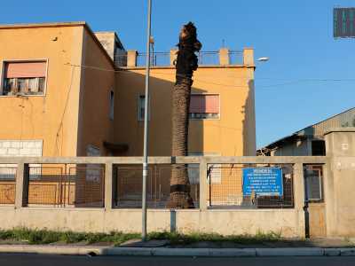 ...strada dominata da bassi magazzini dai muri ingrigiti e scrostati, sui quali � facile leggere cartelli con la scritta �vendesi�